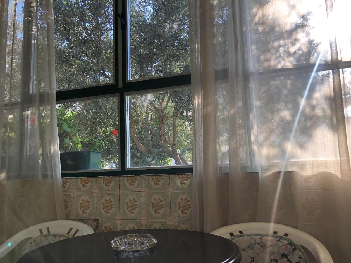 Garden Apartman Split Zewnętrze zdjęcie